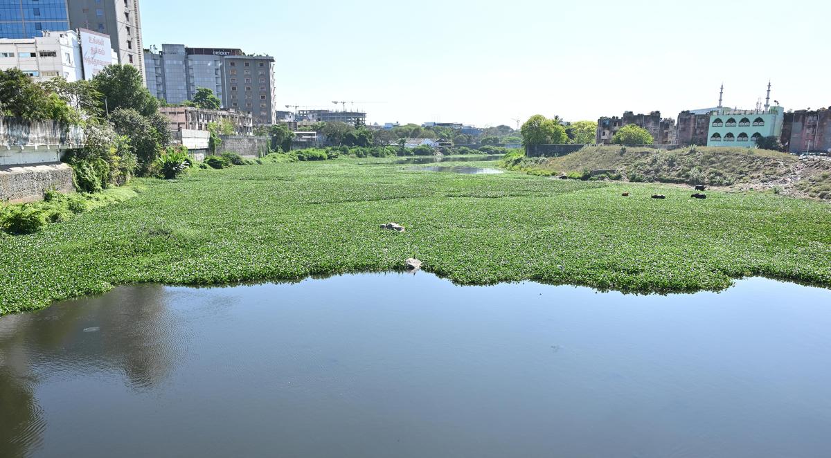 thehindu.com - R. Aishwaryaa - Encroachments, slow-progress of projects, freebies over facilities among major concerns