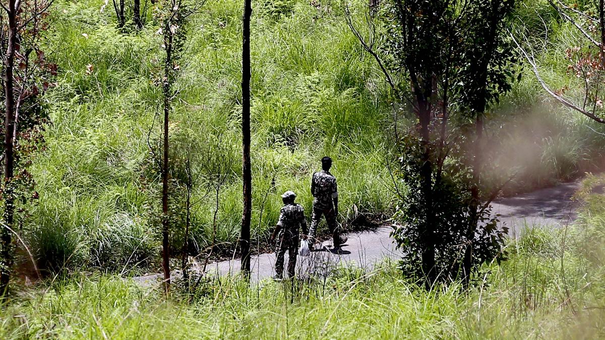 Forest staff seek risk allowance for those deployed to chase away wild animals