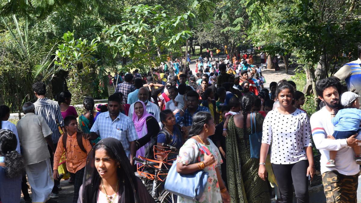Heavy rush at Vandalur zoo, daily footfall touches 17,000