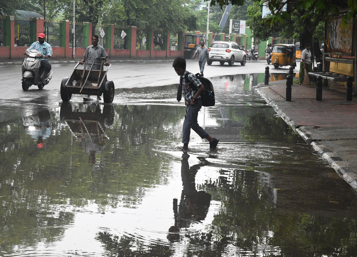 T.N. Rains | Schools in Chennai work to ensure campuses are free from ...