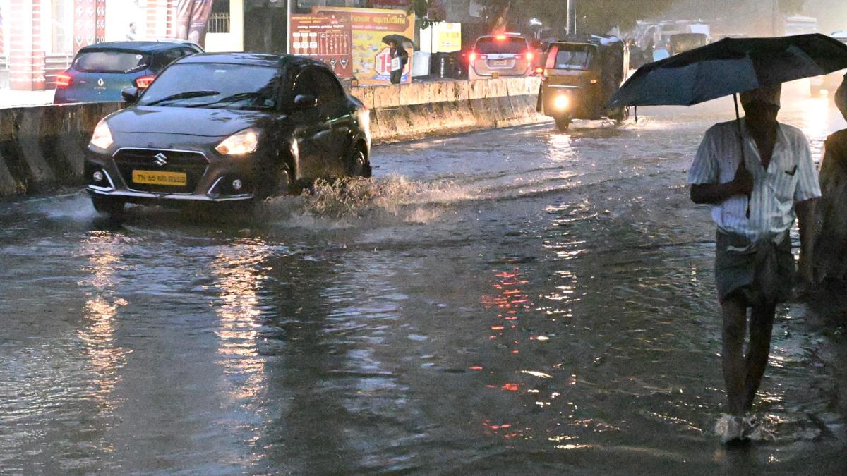Cyclone Ditwah: Fishing community in Dhanushkodi relocated to cyclone shelters