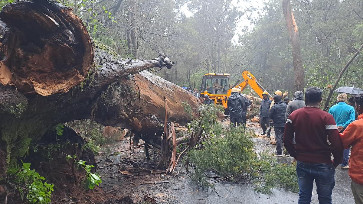 Top Tamil Nadu news developments today