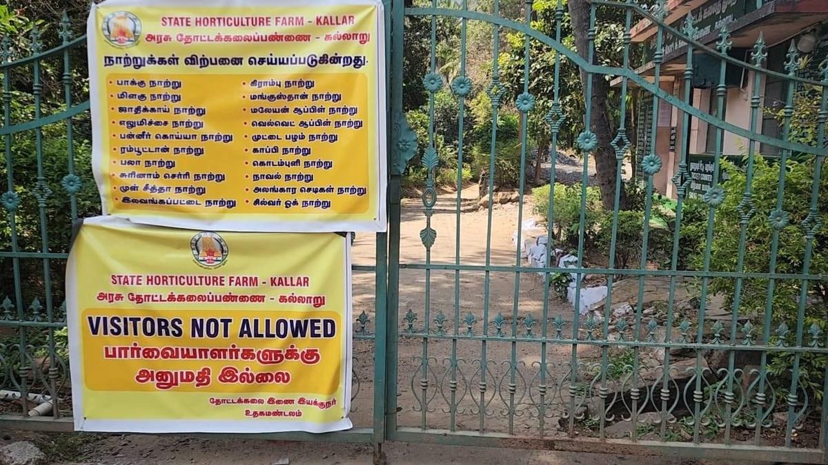 Closure of horticulture farm to improve functionality of critical Kallar elephant corridor near Coimbatore