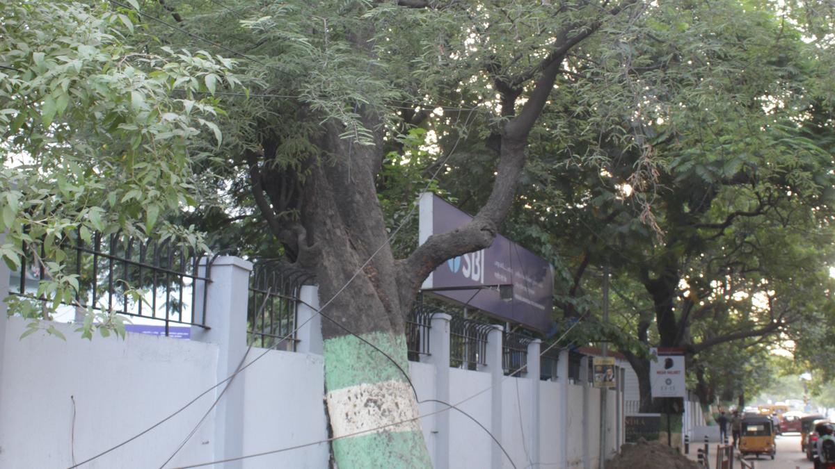 amateur tvpm flex bound