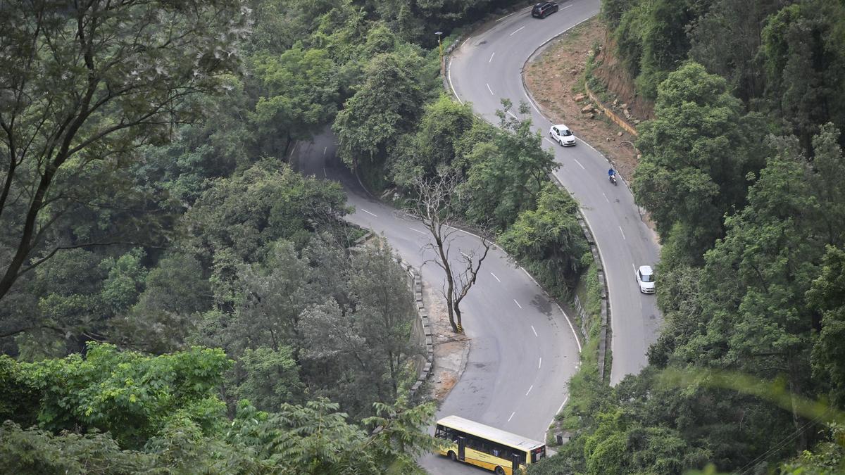 ‘Elephants deaths from falling off Coonoor slopes a cause for concern’