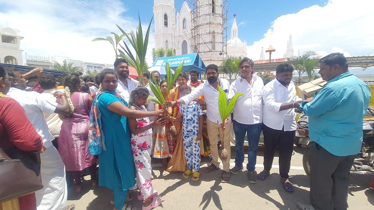 TVK cadres distribute sweets, coconut saplings at Velankanni Basilica