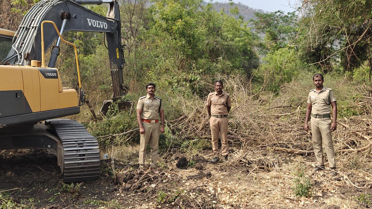 Invasive shrubs being removed for better view of wildlife movement across rail track in Madukkarai in Coimbatore