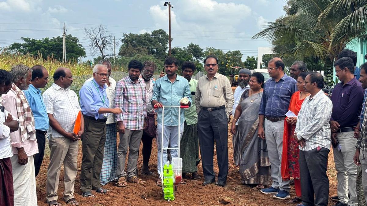 Pilot project to increase crop productivity through crop diversification begins in Nandyal