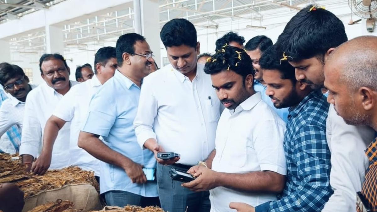 FCV tobacco prices surge on export boom, farmers reap record gains