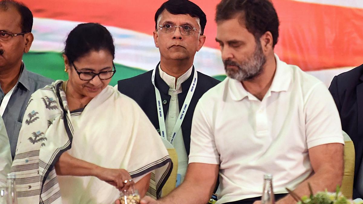 Rahul Gandhi plays down INDIA divisions, says Mamata Banerjee is very much part of the bloc