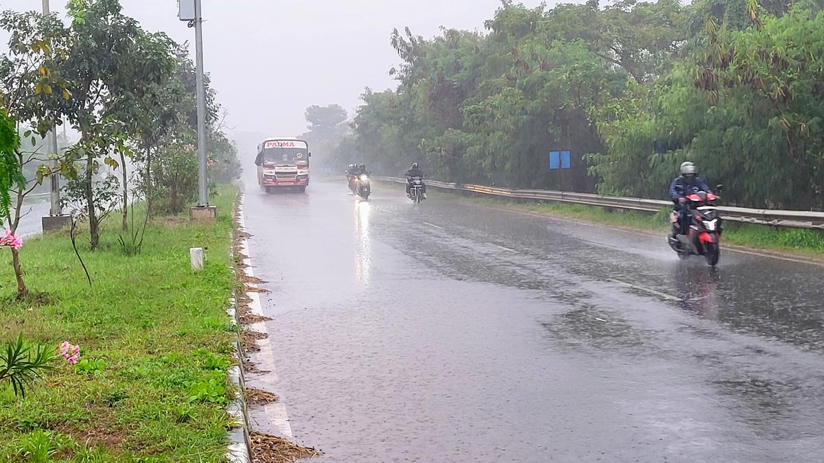 Heavy rain in Tirthahalli Karnataka claims 1 as tree falls on man