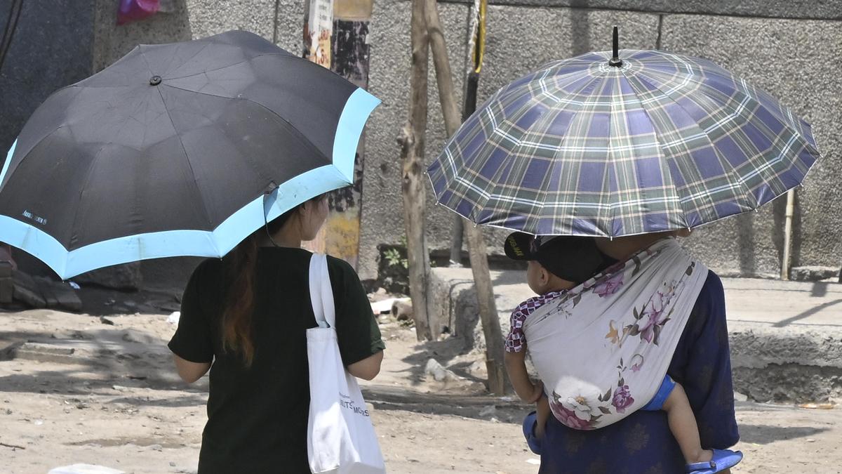 Climate change led to 41 additional days of extreme heat in 2024: new report