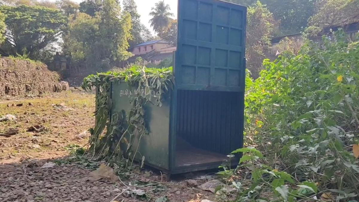 Seven cages placed to trap the leopard on the prowl in Mayiladuthurai district