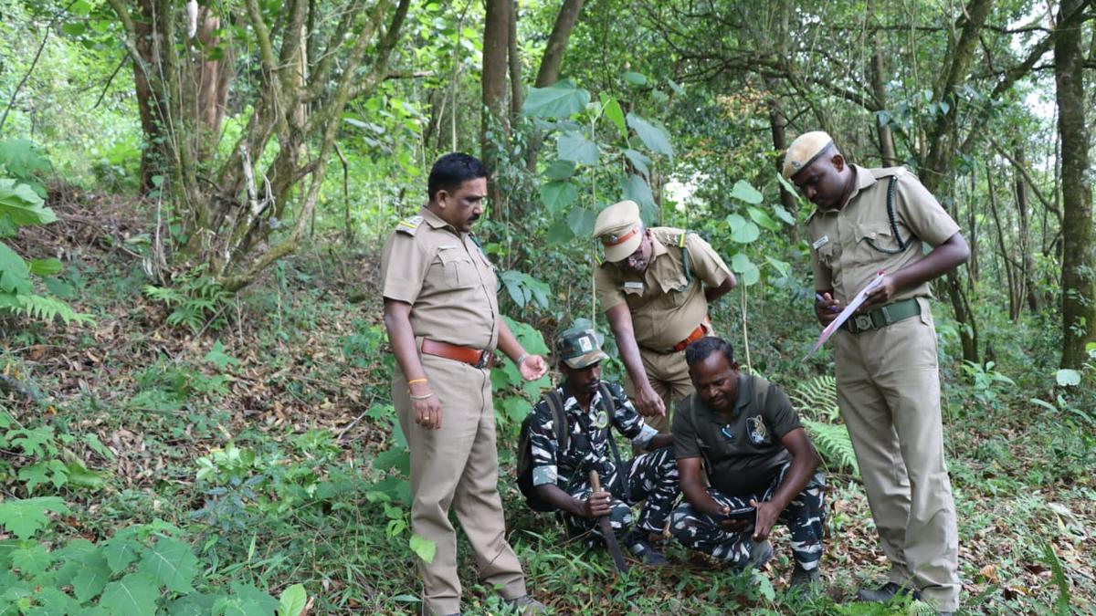 Post-monsoon wildlife survey begins in Anamalai Tiger Reserve