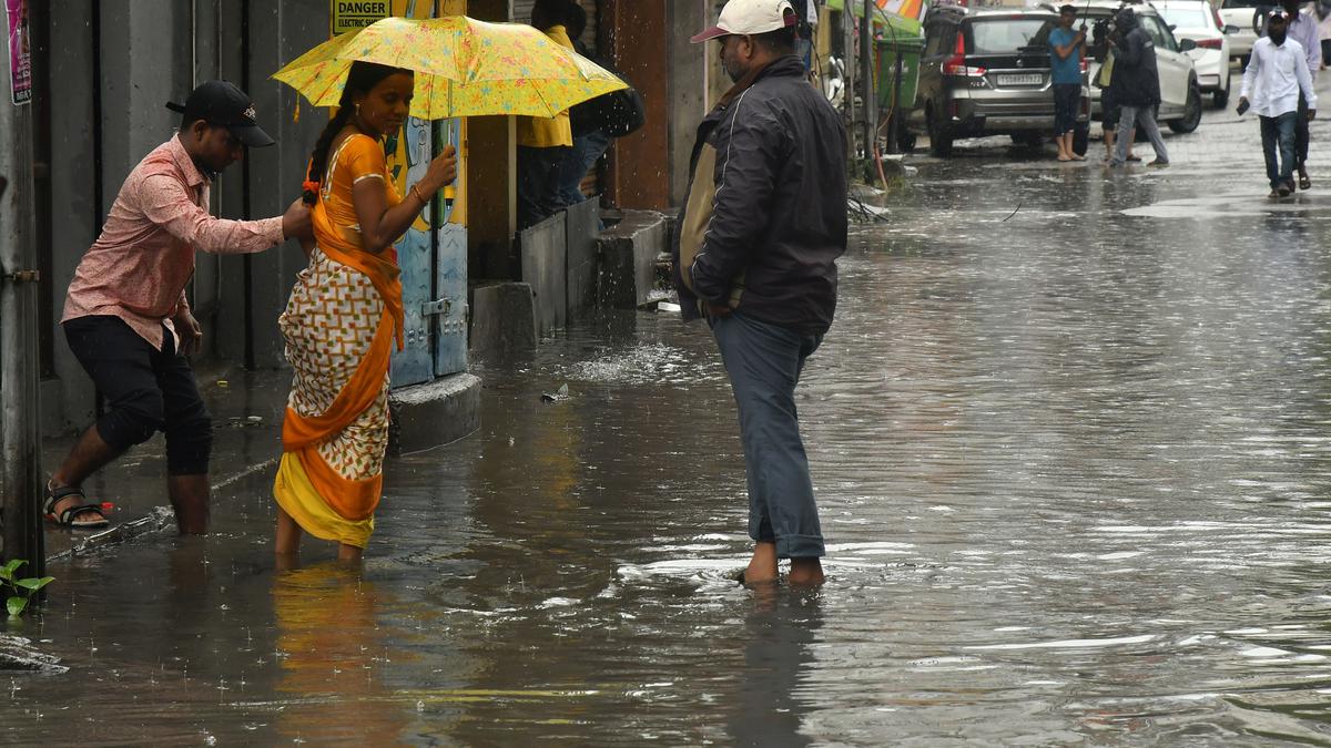 Chief Secretary directs officials to be on alert in view of heavy rain forecast in Telangana for next 48 hours 