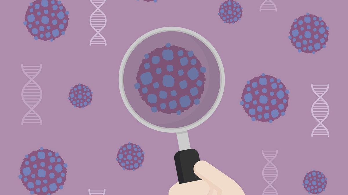 Google’s new AI model offers new pathway in cancer drug research