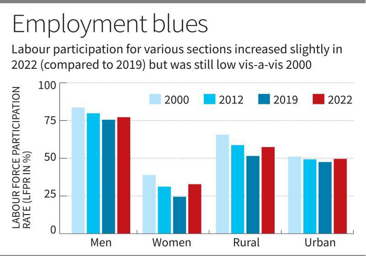  India Employment Report 2024
