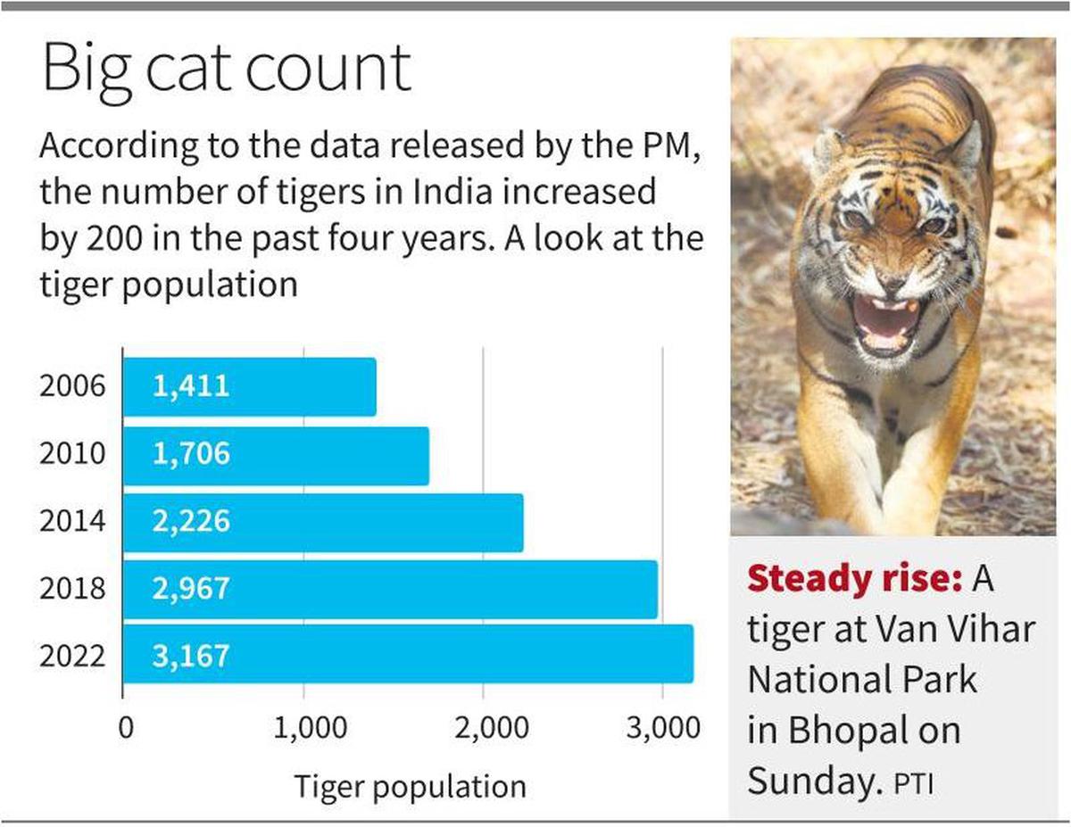 India’s tiger population tops 3,000, shows census The Hindu