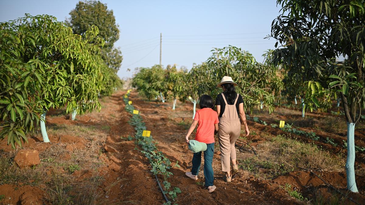Empowering women in green business