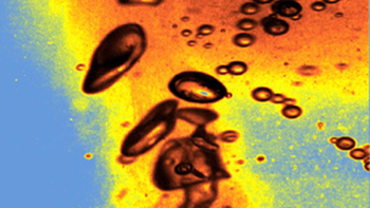 Bengaluru researchers overcome Carnot limit, age-old thermodynamic puzzle solved with novel micro heat engine