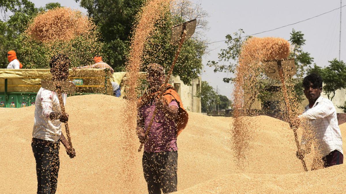 Explained | Why is India looking to boost wheat exports?