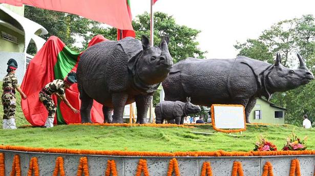 Inert rhinos rise from ashes at Kaziranga