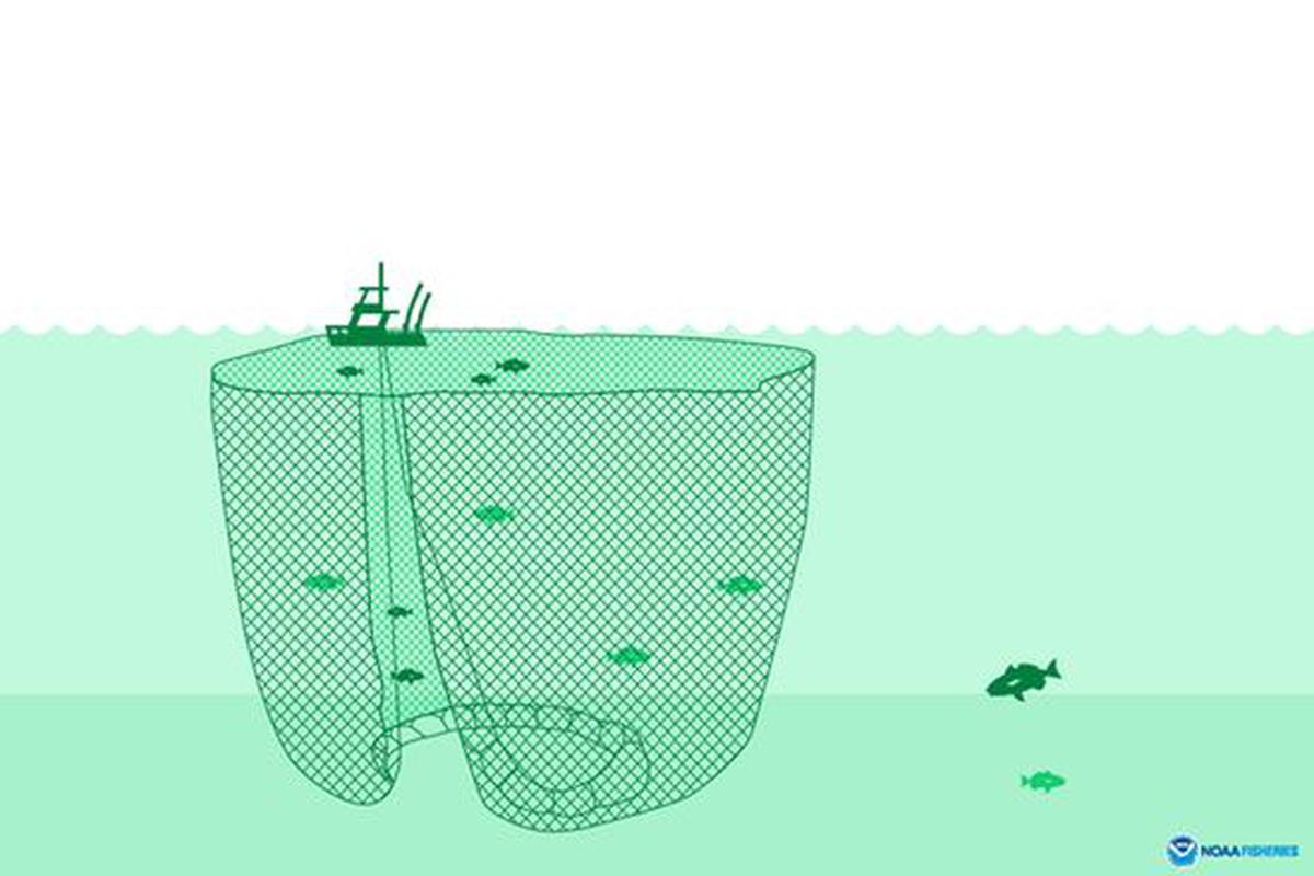 Solved Match the following commercial fishing method with | Chegg.com