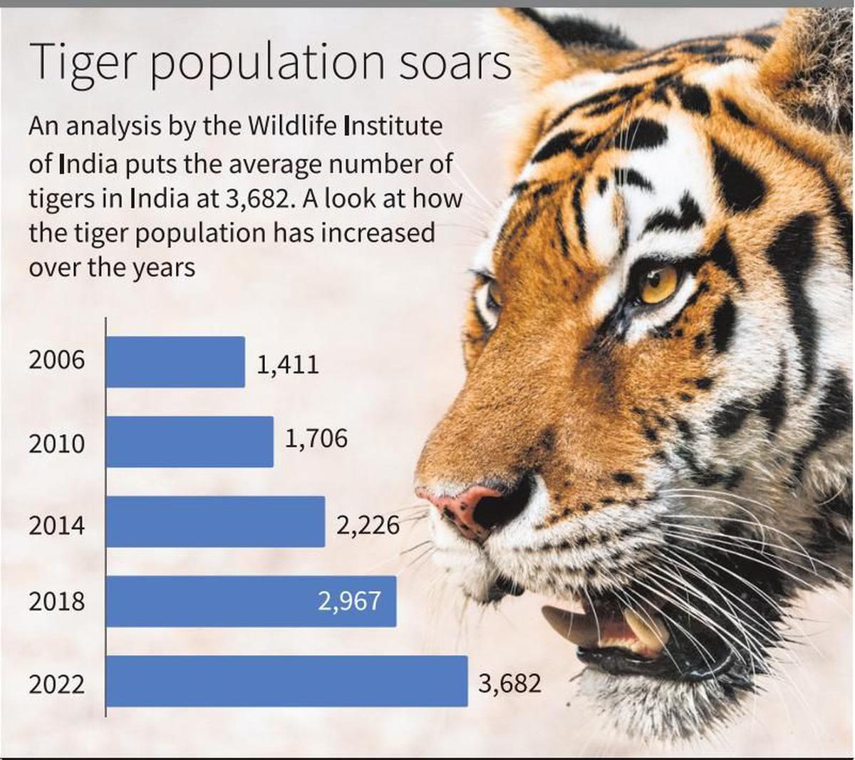 Indias Tiger Population Rises Madhya Pradesh Has Most Big Cats The