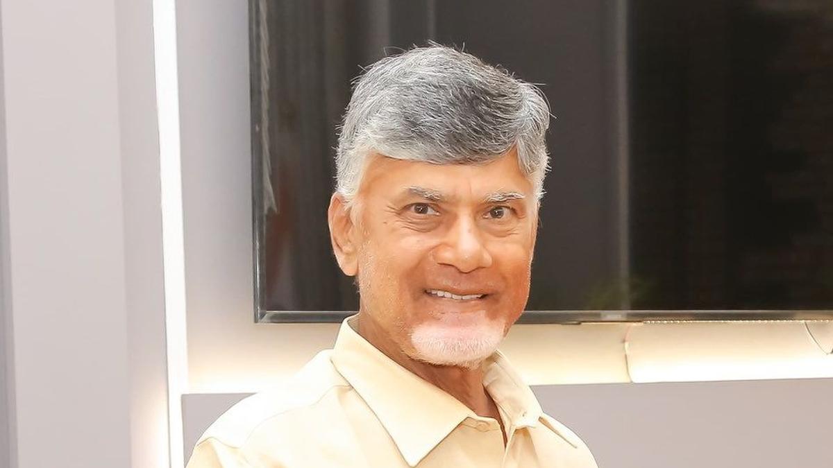 Andhra Pradesh is in crisis, needs more than special category status: Chandrababu Naidu 