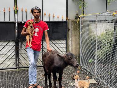 Kochi gets a new animal rescue centre - The Hindu