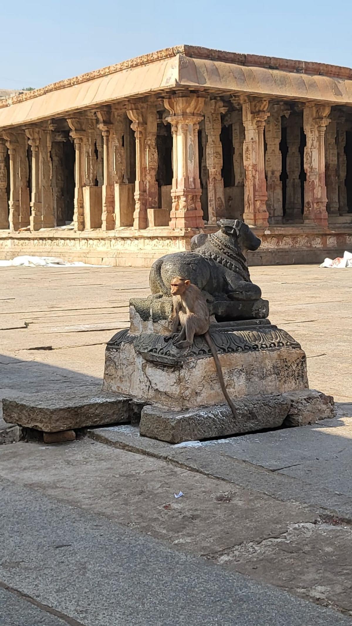 In Hampi, a UNESCO World Heritage Site In Hampi, a UNESCO World Heritage Site