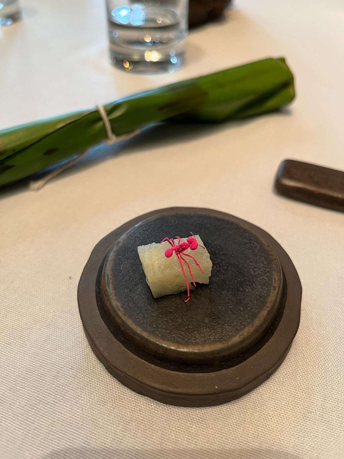 Amazonian leaf-cutter ant placed on a slice of pineapple at two-Michelin-starred DOM in São Paulo