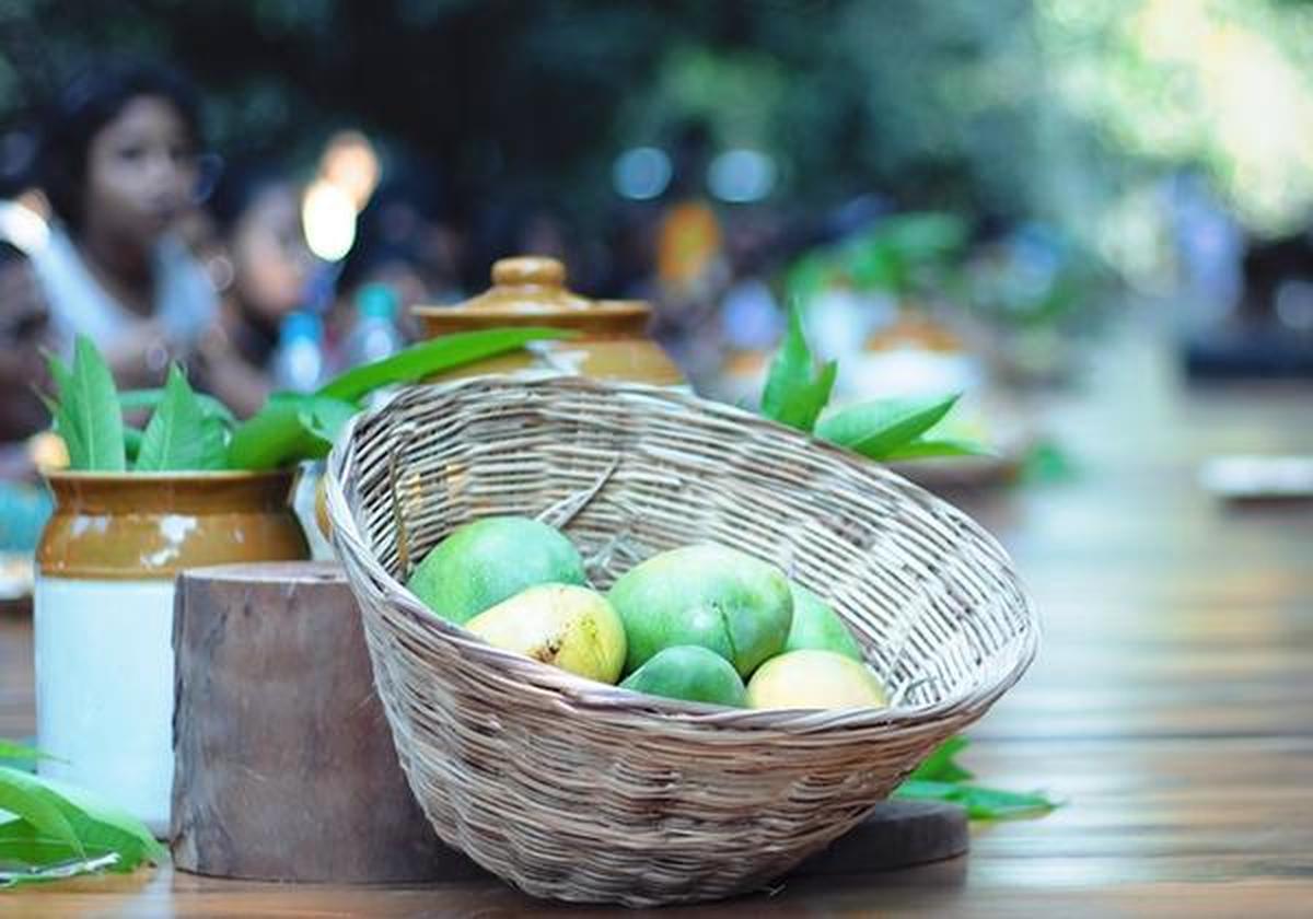 Go on bullock carts pluck mangoes at this Hanu Reddy Raghava farm ...