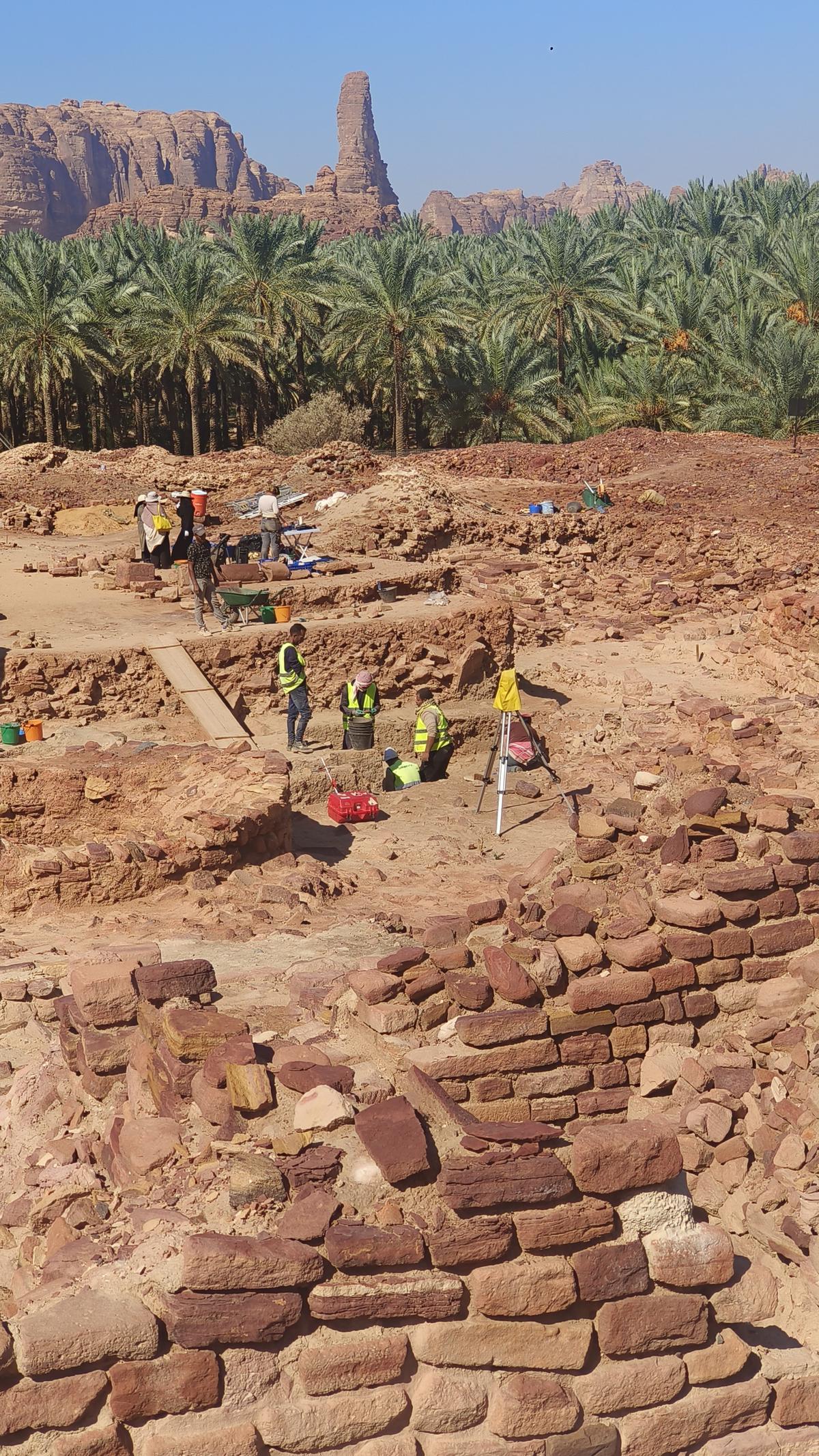 Dig site in Dadan