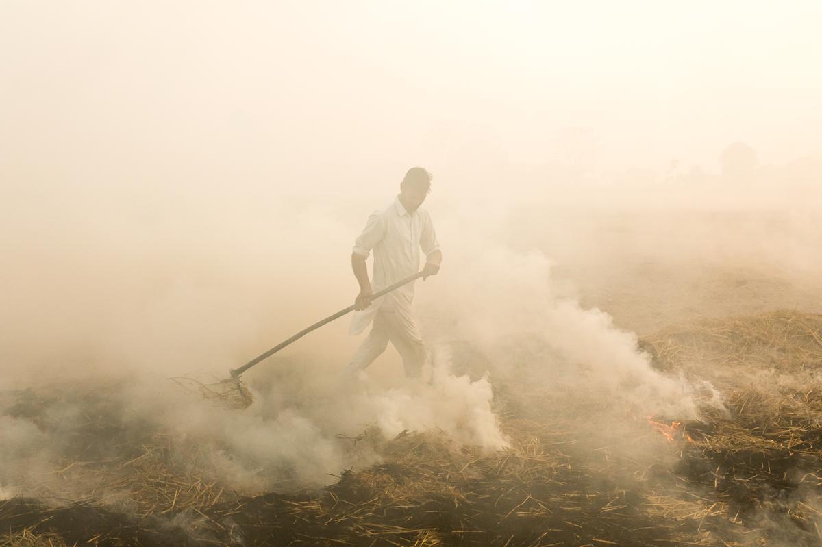 Rayandeep Singh, 21, sets paddy stubble on fire as he prepares to sow the winter crop of wheat in Mansa, Punjab