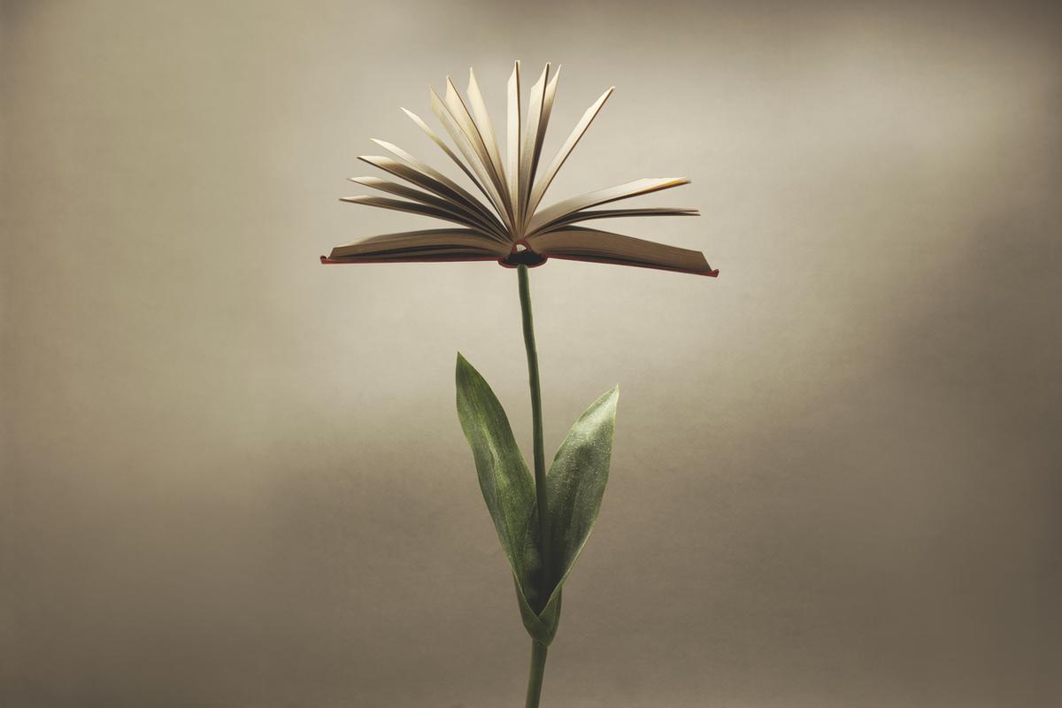 surreal plant with an open book that replaces the flower; fantasy concept