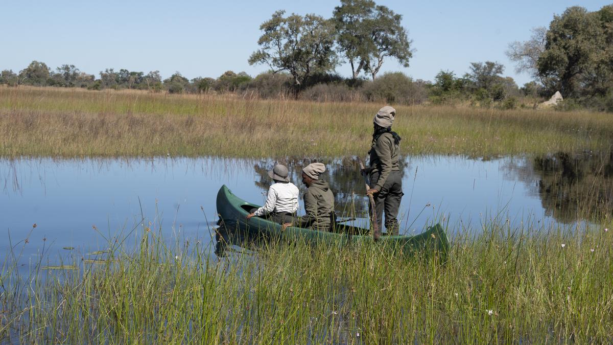 Botswana’s female rangers: How women are rewriting conservation and survival in the Okavango Delta
