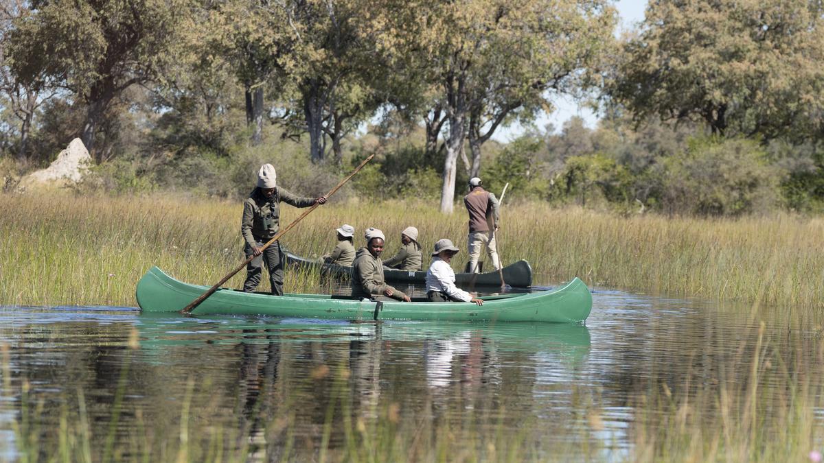 Botswana’s female rangers: How women are rewriting conservation and survival in the Okavango Delta