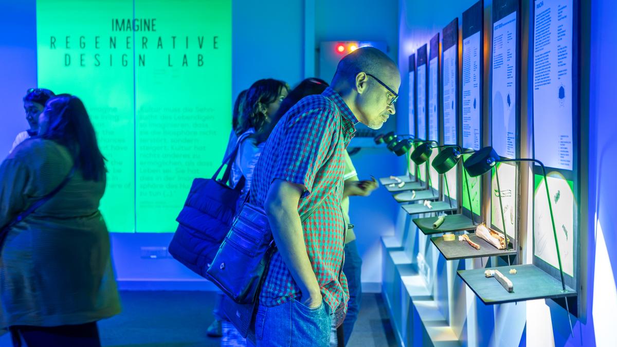 एक नई प्रदर्शनी में पूछा गया है कि क्या कोरल की तरह डिज़ाइन, ग्रह को वापस दे सकता है एक नई प्रदर्शनी में पूछा गया है कि क्या कोरल की तरह डिज़ाइन, ग्रह को वापस दे सकता है