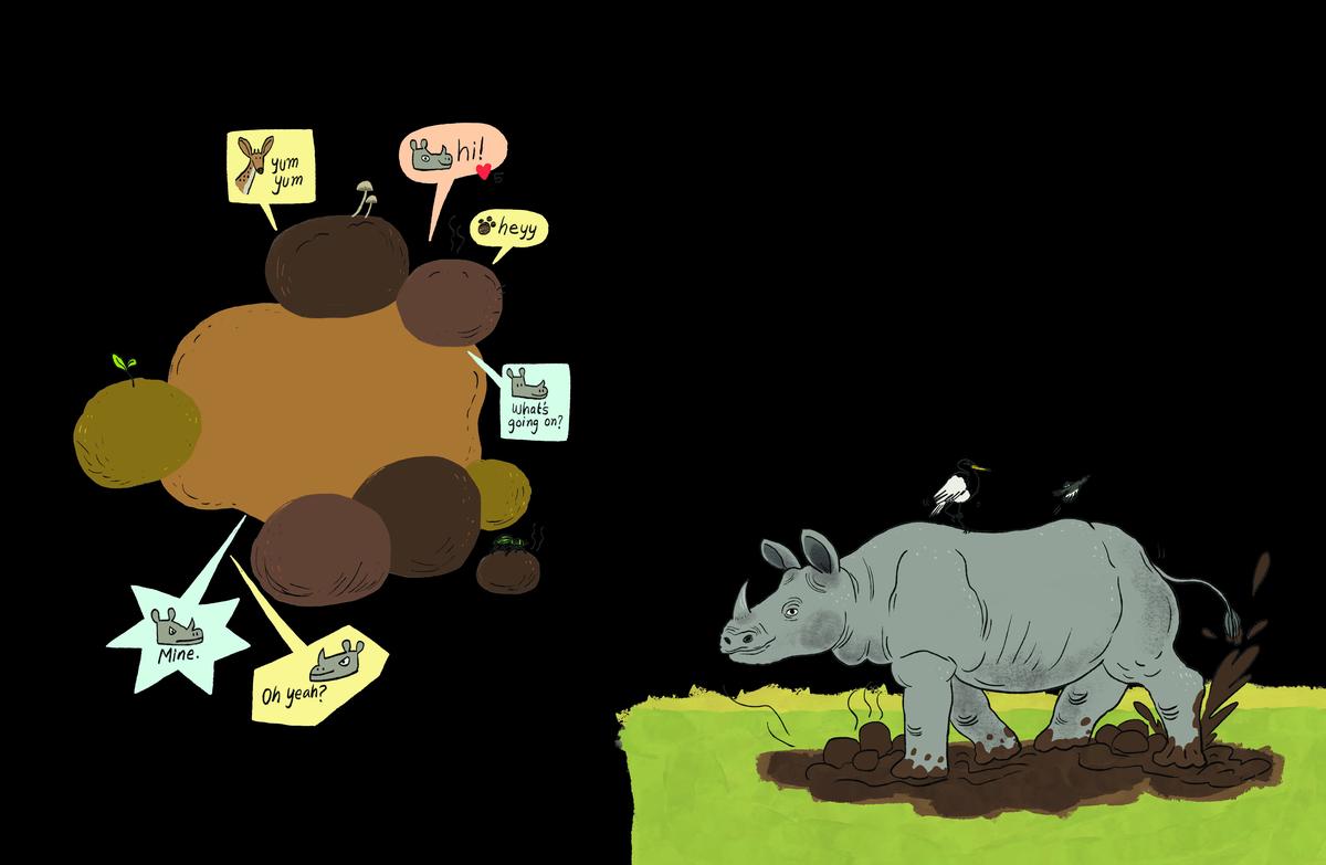 Poop can tell us more about wild animals