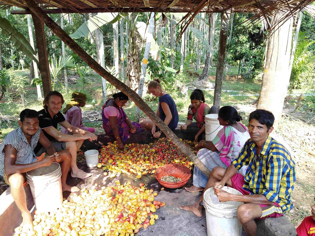 Urrak: Goa’s liquid summer soul
