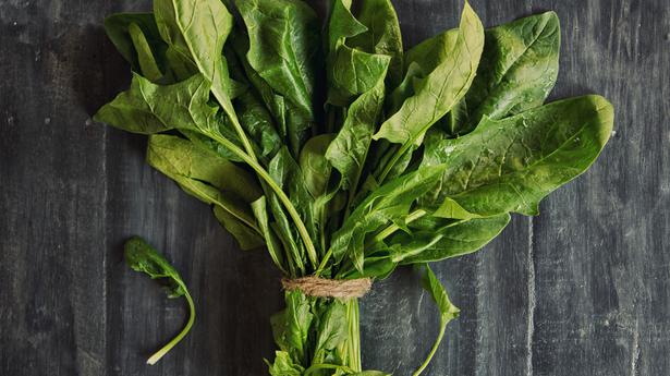 Reading up on spinach: Rahul Verma tracks the superfood through books