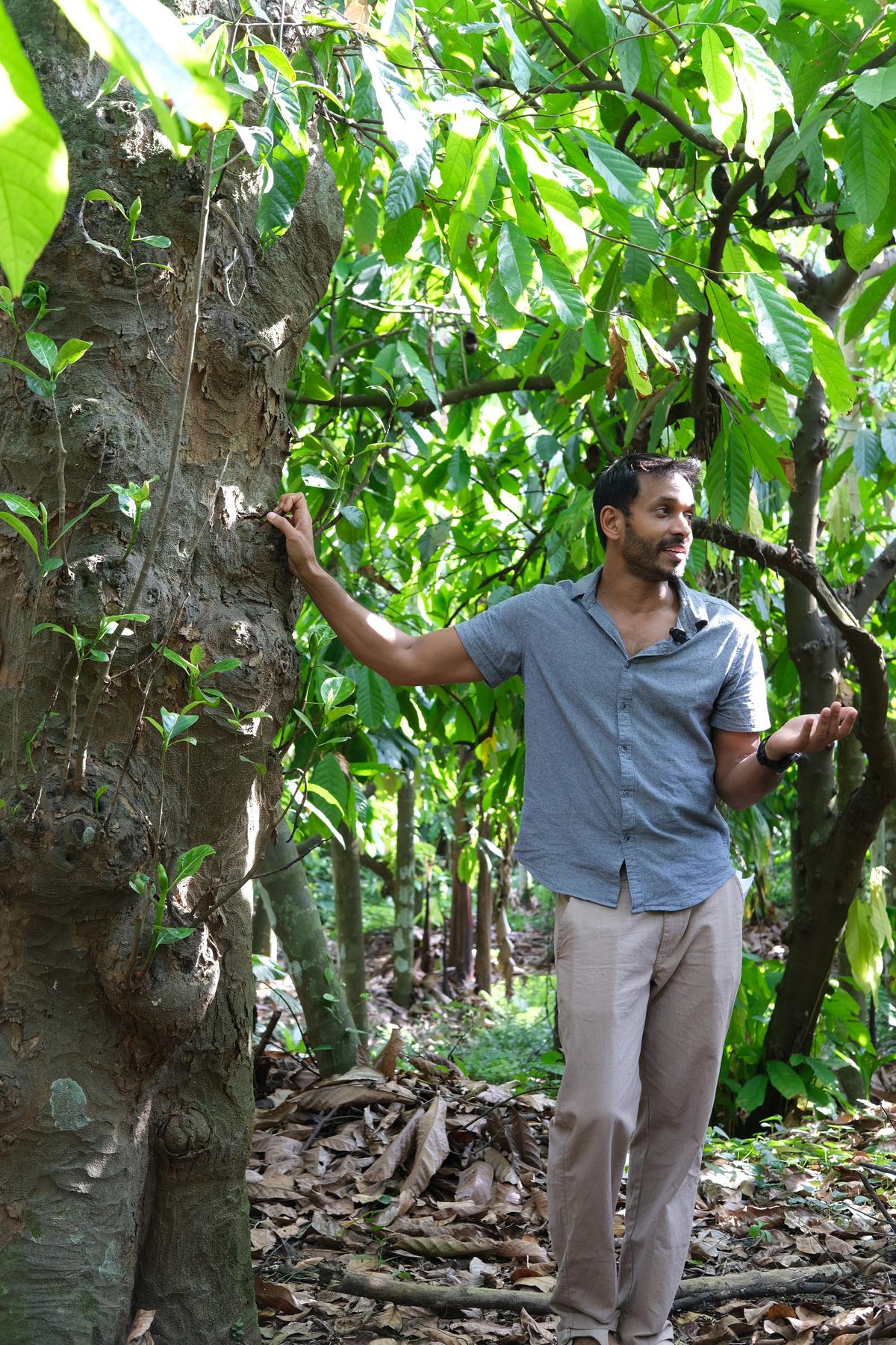 Partha Varanashi at Varanashi Organic Farms