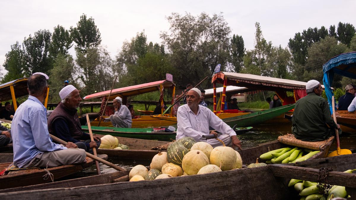 Carrots over caviar | Why India’s urban young are adopting more plant-forward dining options