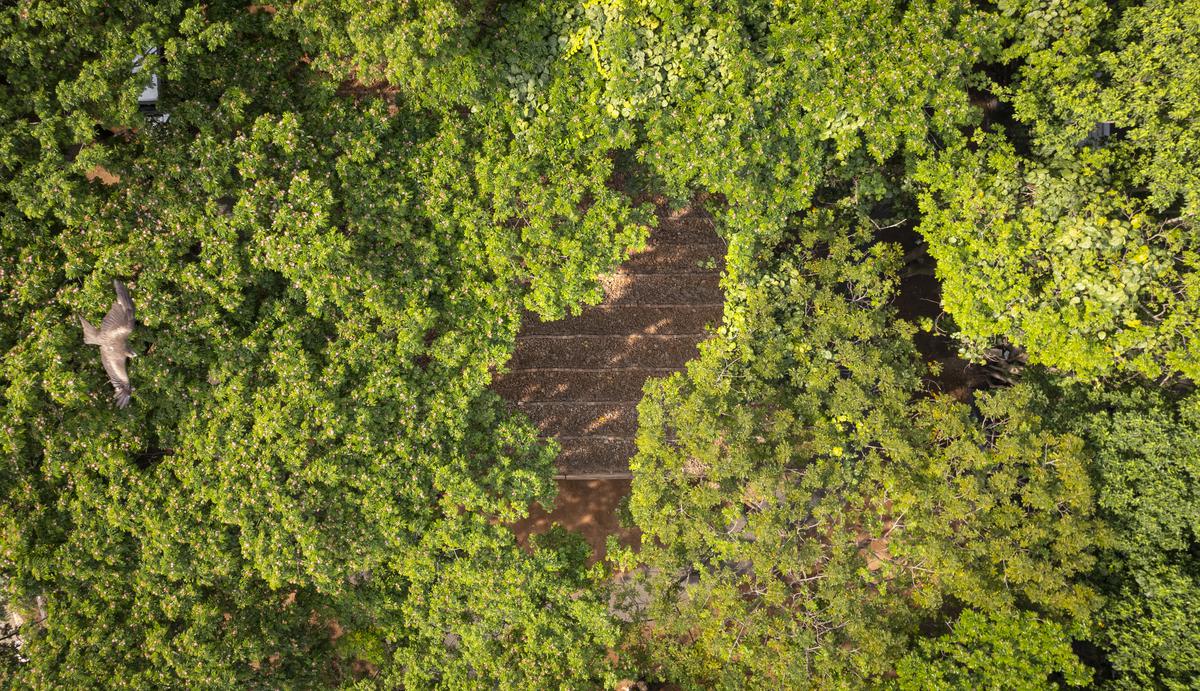 bird's eye view of container