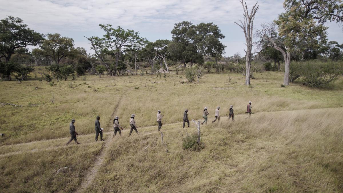 Botswana’s female rangers: How women are rewriting conservation and survival in the Okavango Delta