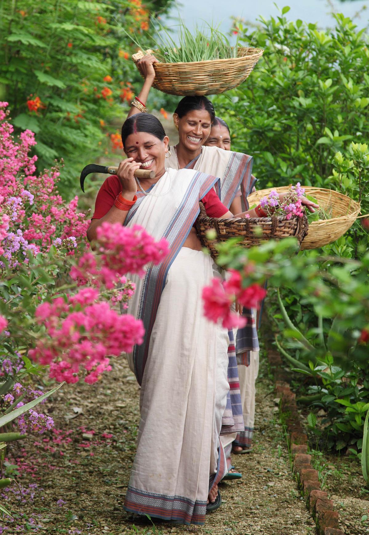 Members of the Forest Essentials team harvesting fresh flowers and herbs