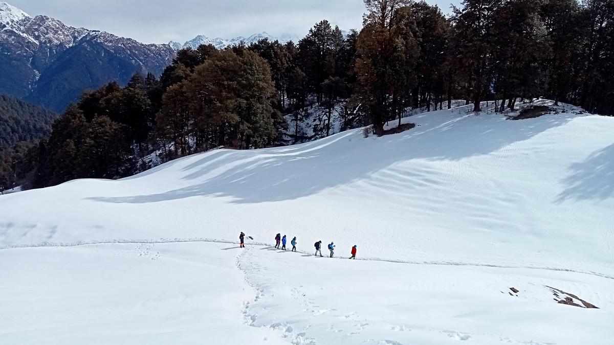 What makes winter trekking a not-to-miss expertise for journey junkies