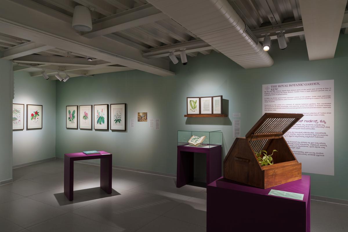 Paper Gardens: Art, Botany, and Empire is being held at MAP, Bengaluru