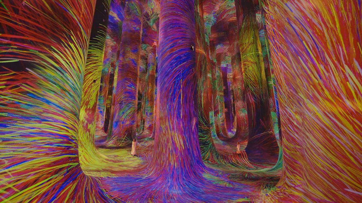 Ordem no caos Ordem no caos